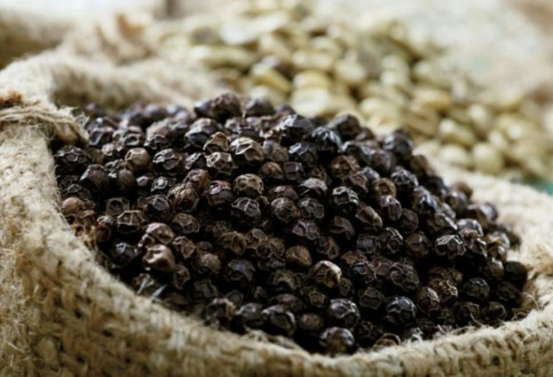 Việt Nam trồng được loại gia vị như "vàng đen" khiến Ấn Độ, Mỹ, Đức đổ xô mua: Đắk Nông cực nhiều - Ảnh 1. Việt Nam trồng được loại gia vị như "vàng đen" khiến Ấn Độ, Mỹ, Đức đổ xô mua: Đắk Nông cực nhiều - Ảnh 1.