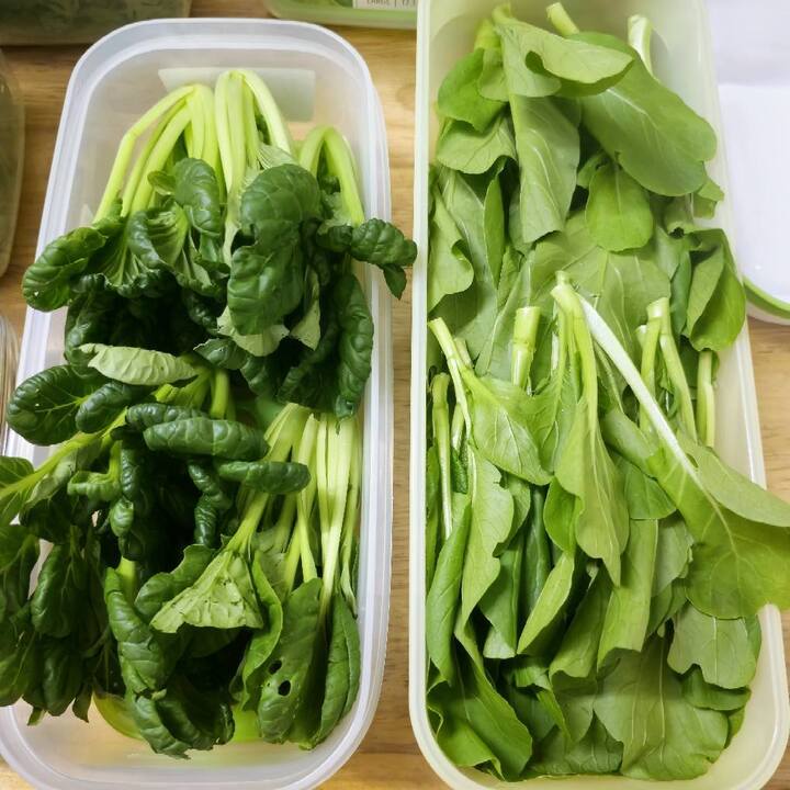 hue-nguyen-12354218-1750046299506-1750046299638531584779.jpg