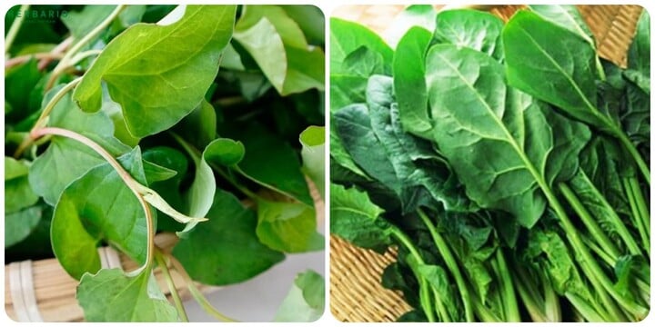 5 loại rau quả thải độc gan tự nhiên - Ảnh 2. 5 loại rau quả thải độc gan tự nhiên - Ảnh 2.