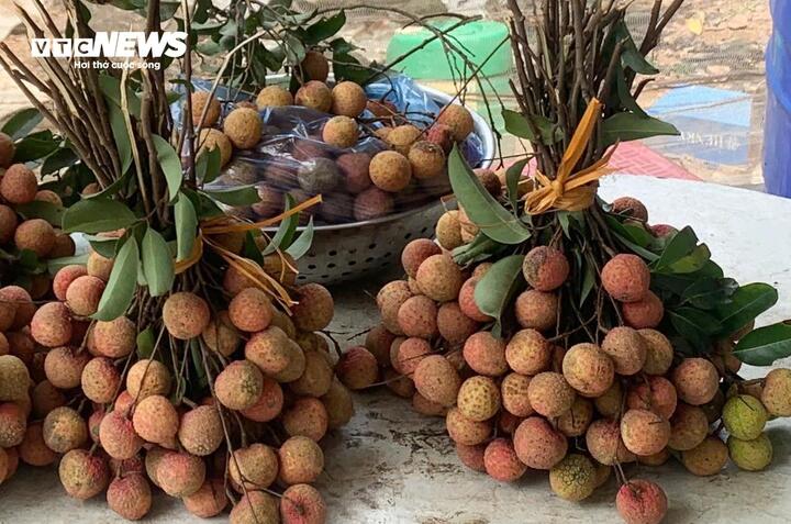 Những ai không nên ăn vải? - Ảnh 1. Những ai không nên ăn vải? - Ảnh 1.