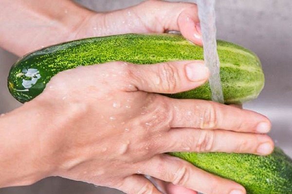 Loại quả nhiều nước hơn dưa hấu, thường bị nhầm là rau: Nên ăn cả vỏ, có loại giá gần 400.000đ/kg - Ảnh 4. Loại quả nhiều nước hơn dưa hấu, thường bị nhầm là rau: Nên ăn cả vỏ, có loại giá gần 400.000đ/kg - Ảnh 4.