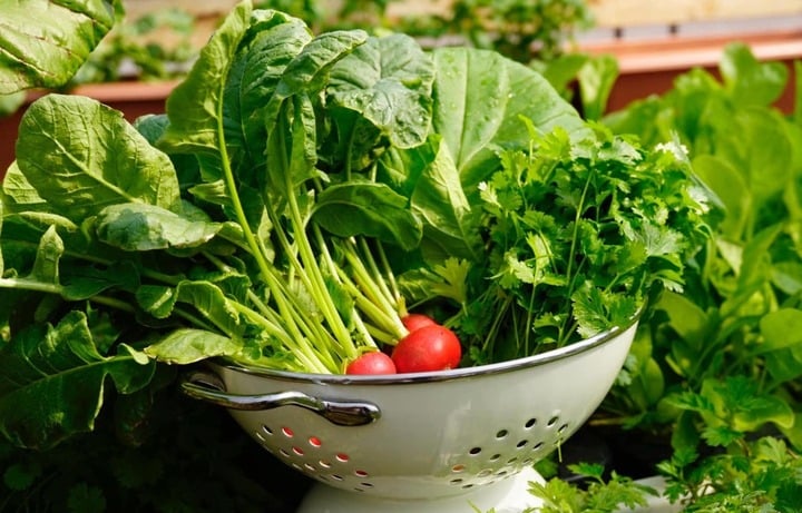 Chuyên gia vạch rõ ảo tưởng nhận biết rau có thuốc trừ sâu bằng mắt thường - Ảnh 1. Chuyên gia vạch rõ ảo tưởng nhận biết rau có thuốc trừ sâu bằng mắt thường - Ảnh 1.