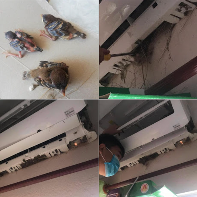 Kiểm tra điều hòa, người dùng sững người bởi cảnh tượng trước mặt: Nguyên nhân rất nhiều nhà chủ quan - Ảnh 3. Kiểm tra điều hòa, người dùng sững người bởi cảnh tượng trước mặt: Nguyên nhân rất nhiều nhà chủ quan - Ảnh 3.