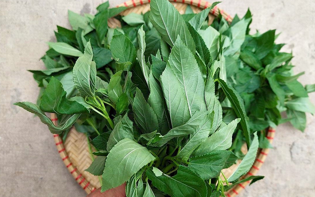 Việt Nam có loại rau nhiều sắt hơn cả thịt bò, Trung Quốc ví như 