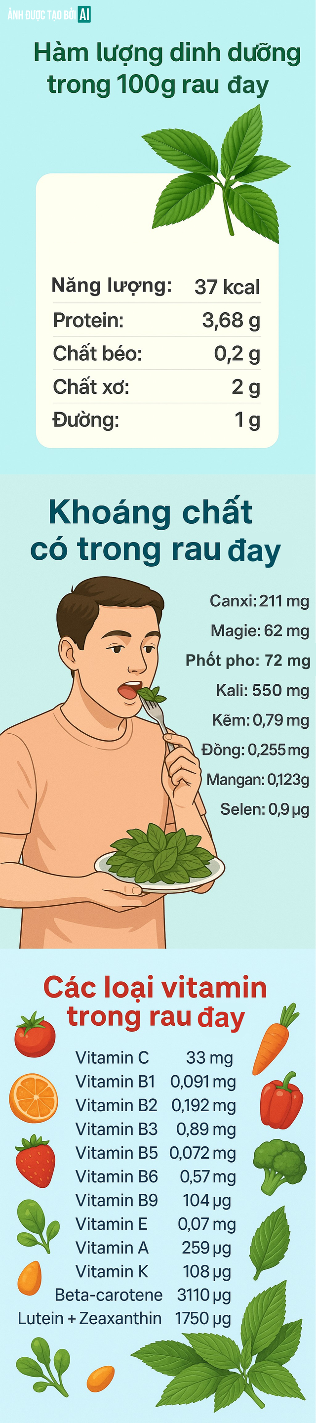 edit-inforgraphic-final-1-17501722263571438154320-1750219135477-17502191356351743882008.png