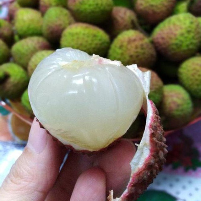 Một phụ nữ phải đi cấp cứu vì ăn hơn 100 quả vải: Có thể ăn tối đa bao nhiêu quả vải một ngày? - Ảnh 3. Một phụ nữ phải đi cấp cứu vì ăn hơn 100 quả vải: Có thể ăn tối đa bao nhiêu quả vải một ngày? - Ảnh 3.