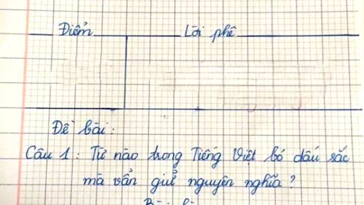 Từ nào trong Tiếng Việt bỏ dấu sắc mà vẫn giữ nguyên nghĩa? - Ảnh 1. Từ nào trong Tiếng Việt bỏ dấu sắc mà vẫn giữ nguyên nghĩa? - Ảnh 1.