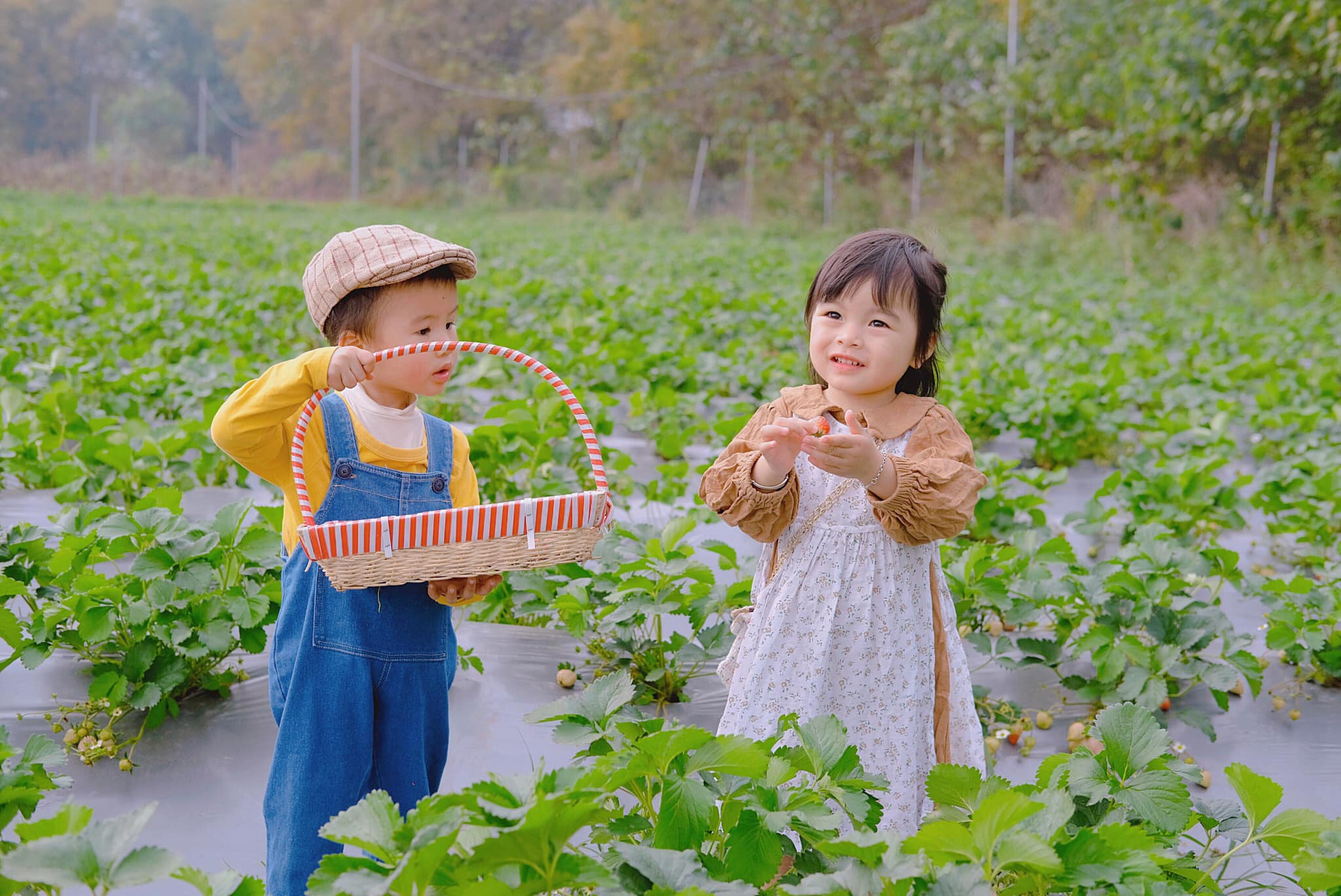 Bảng chi tiêu của mẹ 2 con "sơ sơ" đã lên đến 40 triệu/tháng nhưng không thể nào cắt giảm nổi- Ảnh 3. Bảng chi tiêu của mẹ 2 con "sơ sơ" đã lên đến 40 triệu/tháng nhưng không thể nào cắt giảm nổi- Ảnh 3.