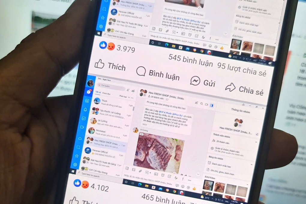 Người từng quản lý chi nhánh C.P. ở Hậu Giang nói gì về phản ánh bán heo bệnh: Không nhớ rõ vì quá lâu? - Ảnh 2. Người từng quản lý chi nhánh C.P. ở Hậu Giang nói gì về phản ánh bán heo bệnh: Không nhớ rõ vì quá lâu? - Ảnh 2.