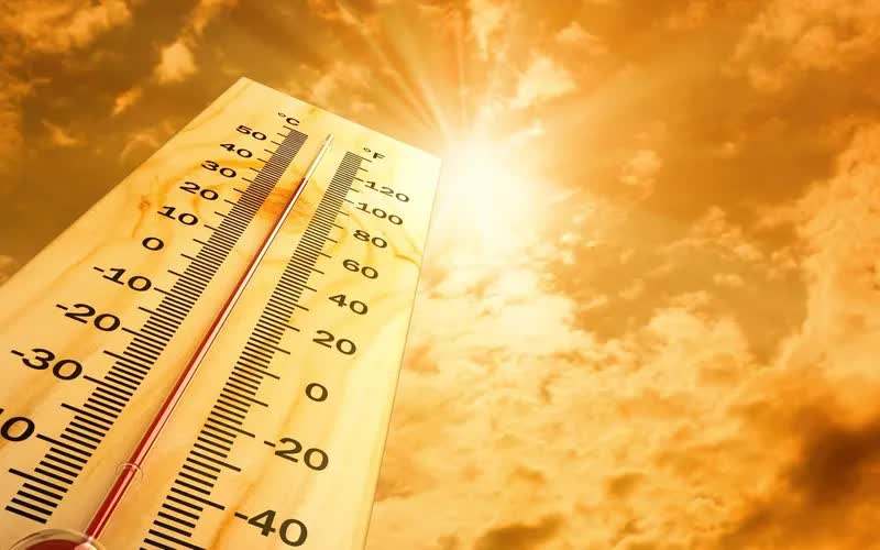 7 ca nhập viện vì nắng nóng, 1 người nguy kịch sau khi làm đồng giữa trưa - Ảnh 1. 7 ca nhập viện vì nắng nóng, 1 người nguy kịch sau khi làm đồng giữa trưa - Ảnh 1.