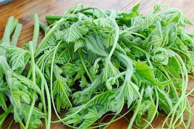 Cách chế biến loại rau bổ ngang thịt, ăn thường xuyên giúp sáng mắt, đẹp da - Ảnh 1. Cách chế biến loại rau bổ ngang thịt, ăn thường xuyên giúp sáng mắt, đẹp da - Ảnh 1.