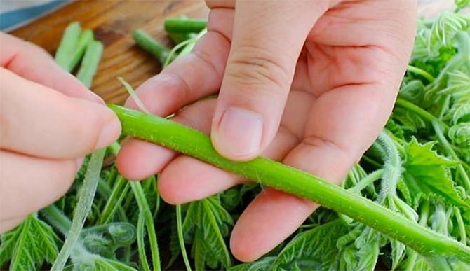 Cách chế biến loại rau bổ ngang thịt, ăn thường xuyên giúp sáng mắt, đẹp da - Ảnh 2. Cách chế biến loại rau bổ ngang thịt, ăn thường xuyên giúp sáng mắt, đẹp da - Ảnh 2.
