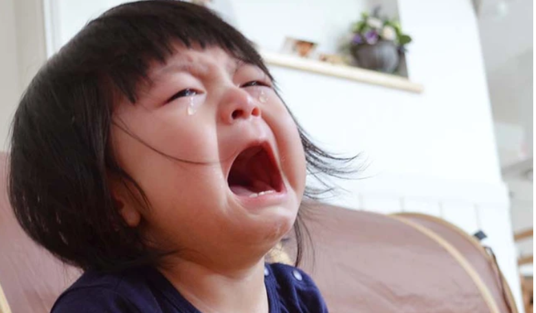Trẻ đang vui chợt khóc ré khi có người lạ: 4 lý do có thể khiến mẹ giật mình- Ảnh 1. Trẻ đang vui chợt khóc ré khi có người lạ: 4 lý do có thể khiến mẹ giật mình- Ảnh 1.