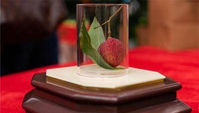Có gì trong quả vải thiều giá lên tới gần 2 tỷ đồng, người có tiền cũng chưa chắc mua được? - Ảnh 2. Có gì trong quả vải thiều giá lên tới gần 2 tỷ đồng, người có tiền cũng chưa chắc mua được? - Ảnh 2.