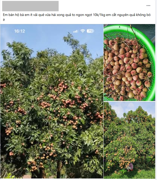 tuoi-dau-sinh-nam-bao-nhieu-3534-17503216626241492486263-0-0-438-701-crop-17503217049341645404547-1750381572214728571073-1750409131110-17504091312371557146766.jpg