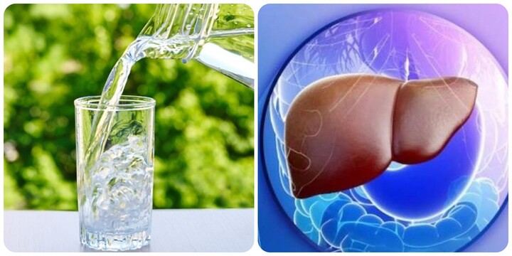 Cách thải độc gan tốt nhất và đơn giản nhất - Ảnh 2. Cách thải độc gan tốt nhất và đơn giản nhất - Ảnh 2.