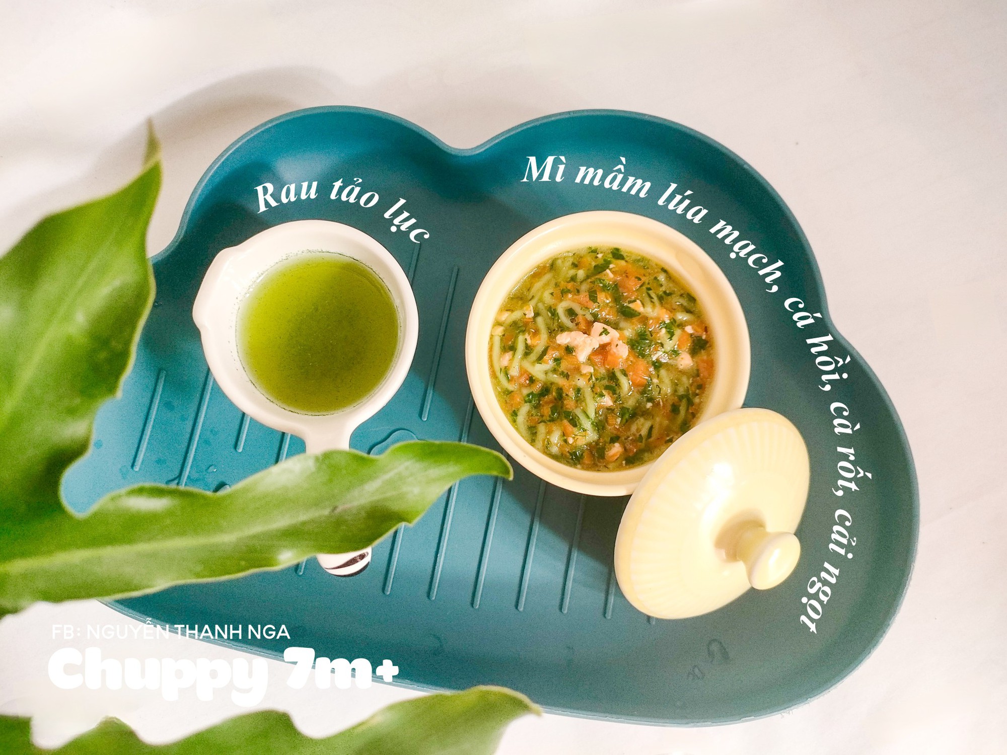 Mẹ Thái Bình nấu món ăn dặm thuận theo con khiến hàng nghìn mẹ bỉm ngạc nhiên: Mẹ Thái Bình nấu món ăn dặm thuận theo con khiến hàng nghìn mẹ bỉm ngạc nhiên: