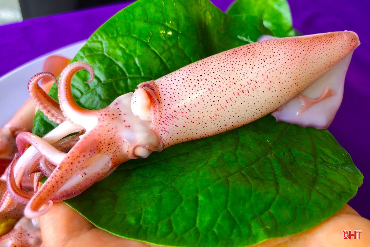 Hành trình chạm vào vẻ đẹp nguyên sơ với những món ngon gói trọn hương vị đậm đà, là đặc sản Hành trình chạm vào vẻ đẹp nguyên sơ với những món ngon gói trọn hương vị đậm đà, là đặc sản