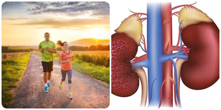 8 thói quen giúp thận khoẻ mạnh - Ảnh 1. 8 thói quen giúp thận khoẻ mạnh - Ảnh 1.