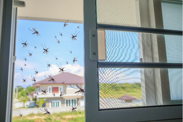 Cảnh báo về mức độ nguy hiểm khó lường của sốt xuất huyết - Ảnh 3. Cảnh báo về mức độ nguy hiểm khó lường của sốt xuất huyết - Ảnh 3.