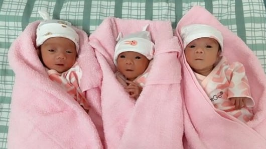 Cặp sinh ba siêu quậy Dâu - Kem - Sữa, idol mới nổi làng hot kid vừa cho mẹ 1 buổi sáng đi từ "sảng hồn" đến "sảng ví"!- Ảnh 1. Cặp sinh ba siêu quậy Dâu - Kem - Sữa, idol mới nổi làng hot kid vừa cho mẹ 1 buổi sáng đi từ "sảng hồn" đến "sảng ví"!- Ảnh 1.