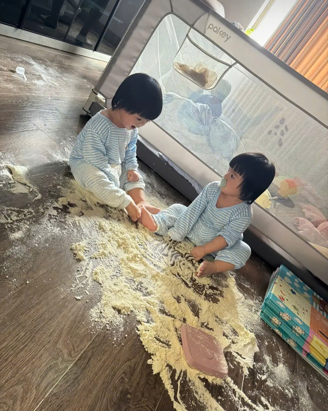 Cặp sinh ba siêu quậy Dâu - Kem - Sữa, idol mới nổi làng hot kid vừa cho mẹ 1 buổi sáng đi từ "sảng hồn" đến "sảng ví"!- Ảnh 5. Cặp sinh ba siêu quậy Dâu - Kem - Sữa, idol mới nổi làng hot kid vừa cho mẹ 1 buổi sáng đi từ "sảng hồn" đến "sảng ví"!- Ảnh 5.