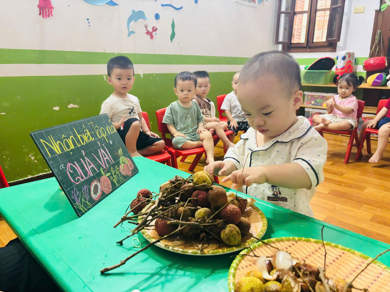 2 lần chuyển trường trong 6 tháng, từng tham khảo 50 cơ sở mầm non, mẹ bỉm chia sẻ kinh nghiệm khi chọn trường cho con dưới 18 tháng- Ảnh 7. 2 lần chuyển trường trong 6 tháng, từng tham khảo 50 cơ sở mầm non, mẹ bỉm chia sẻ kinh nghiệm khi chọn trường cho con dưới 18 tháng- Ảnh 7.