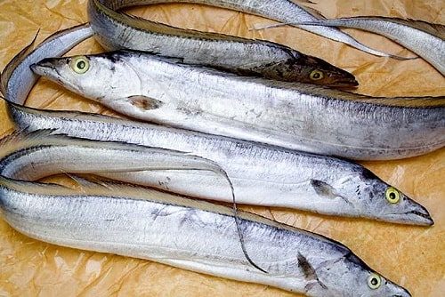 Khi đi chợ, người thông minh sẽ tránh ngay 3 loại cá dễ gây ngộ độc, nhưng sẽ mua 4 loại cá thơm ngon và cực kỳ bổ dưỡng- Ảnh 7. Khi đi chợ, người thông minh sẽ tránh ngay 3 loại cá dễ gây ngộ độc, nhưng sẽ mua 4 loại cá thơm ngon và cực kỳ bổ dưỡng- Ảnh 7.