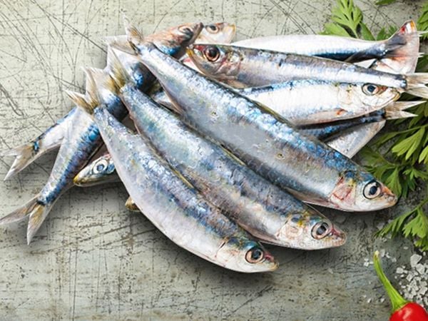 Khi đi chợ, người thông minh sẽ tránh ngay 3 loại cá dễ gây ngộ độc, nhưng sẽ mua 4 loại cá thơm ngon và cực kỳ bổ dưỡng- Ảnh 5. Khi đi chợ, người thông minh sẽ tránh ngay 3 loại cá dễ gây ngộ độc, nhưng sẽ mua 4 loại cá thơm ngon và cực kỳ bổ dưỡng- Ảnh 5.