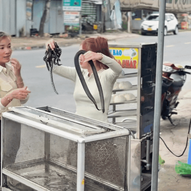 Món đặc sản Món đặc sản