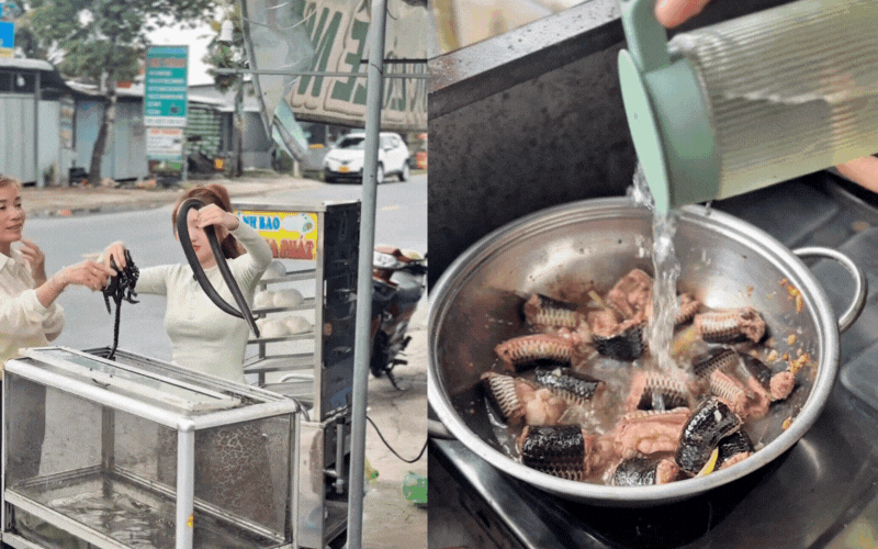 Đặc sản Đặc sản