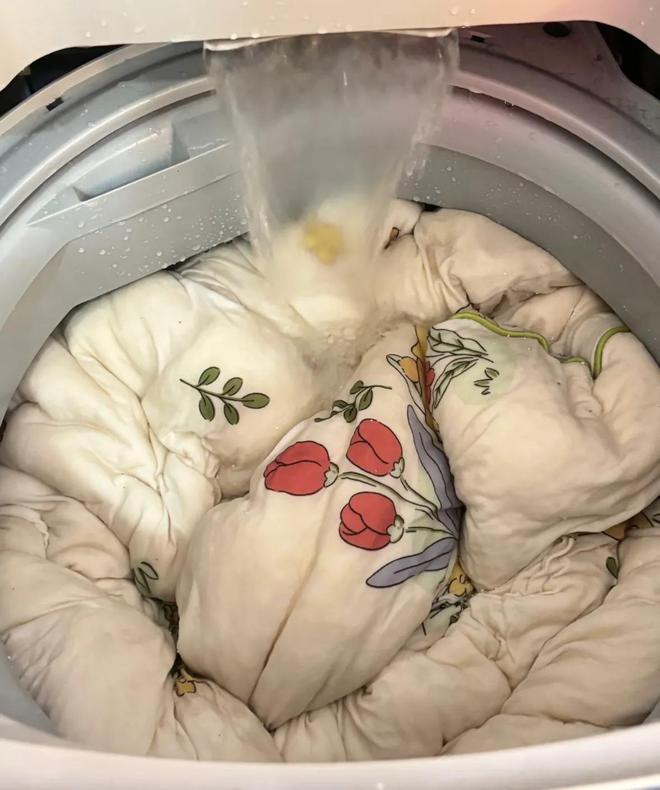 Giặt 3 thứ này bằng máy giặt, sớm muộn sẽ vứt cả đồ cả máy- Ảnh 6. Giặt 3 thứ này bằng máy giặt, sớm muộn sẽ vứt cả đồ cả máy- Ảnh 6.