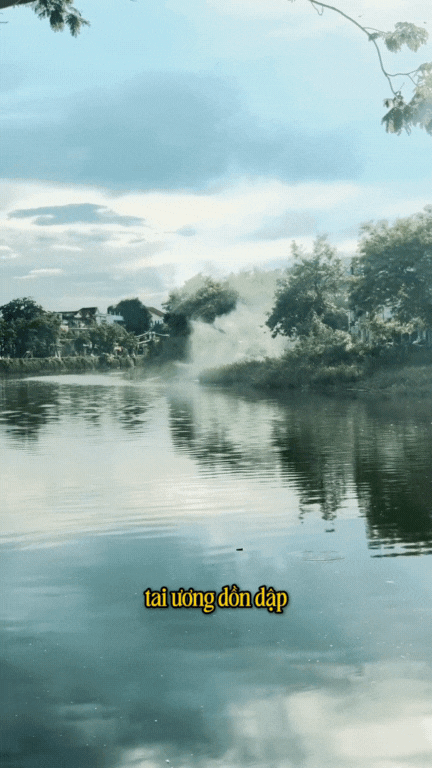 banh-bong-lan-sum-ky-24-17511112126021765098944.gif