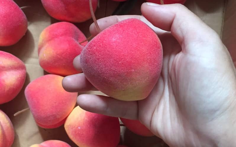 Mùa hè có 1 loại quả giàu nước vị ngọt mát, ăn đều giúp giữ dáng và ổn định đường huyết
