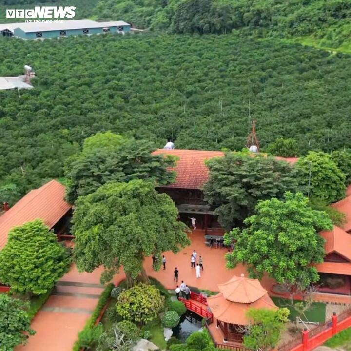 Cuộc sống xa hoa, thú chơi dị thường của ông trùm Vi 'ngộ' khét tiếng xứ Thanh - Ảnh 4. Cuộc sống xa hoa, thú chơi dị thường của ông trùm Vi 'ngộ' khét tiếng xứ Thanh - Ảnh 4.