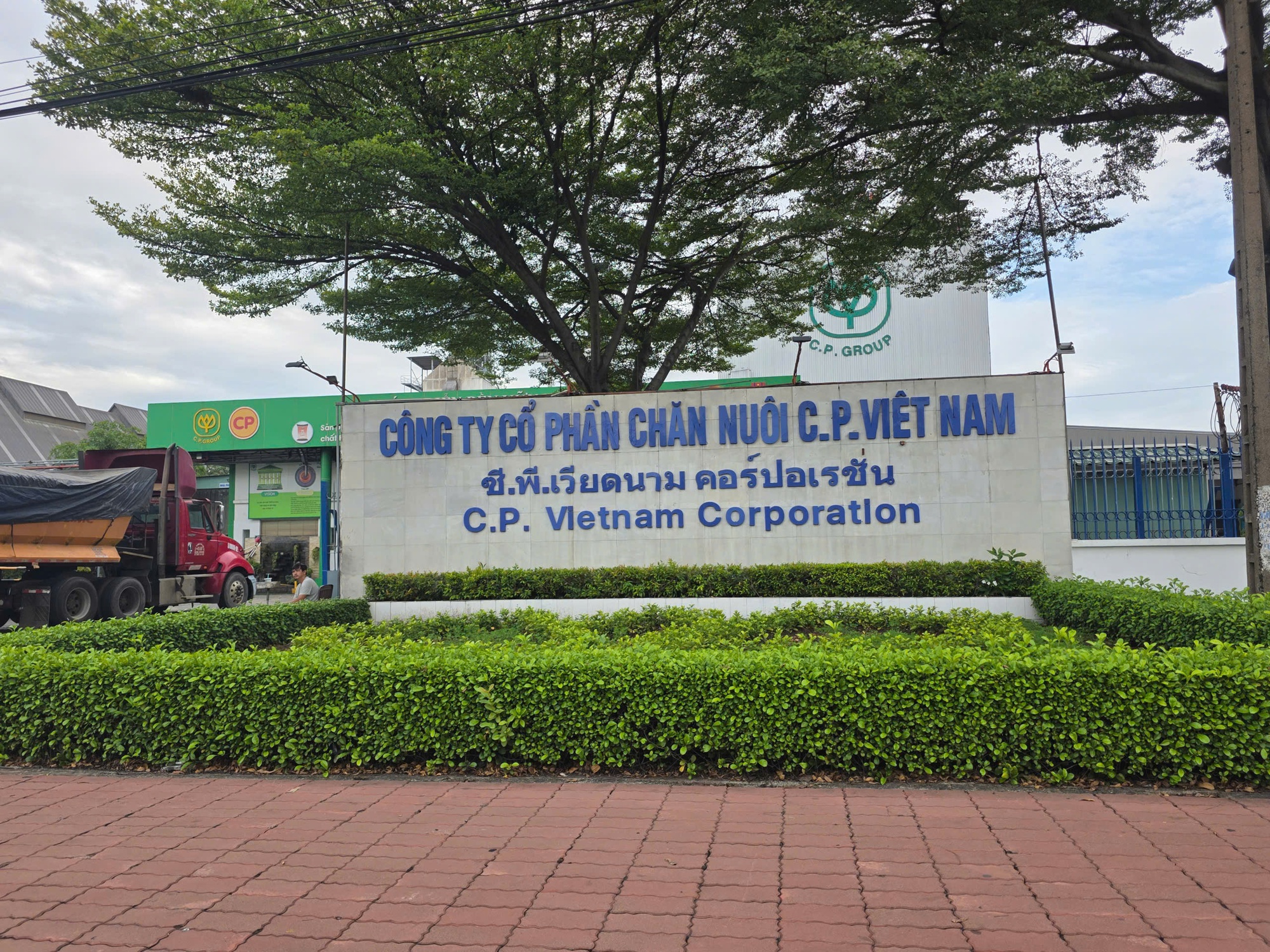 Công ty C.P. Việt Nam từng bị UBND tỉnh Đồng Nai xử phạt gần 800 triệu đồng - Ảnh 1. Công ty C.P Việt Nam từng bị Đồng Nai xử phạt gần 800 triệu vì 3 vi phạm trong lĩnh vực môi trường - Ảnh 1.