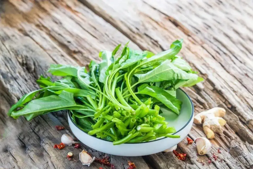 Loại rau giải nhiệt mùa hè là &quot;thuốc làm sạch đường ruột&quot;, giúp hạ đường huyết, tốt đủ đường: Chợ Việt bán vừa nhiều vừa rẻ- Ảnh 1.