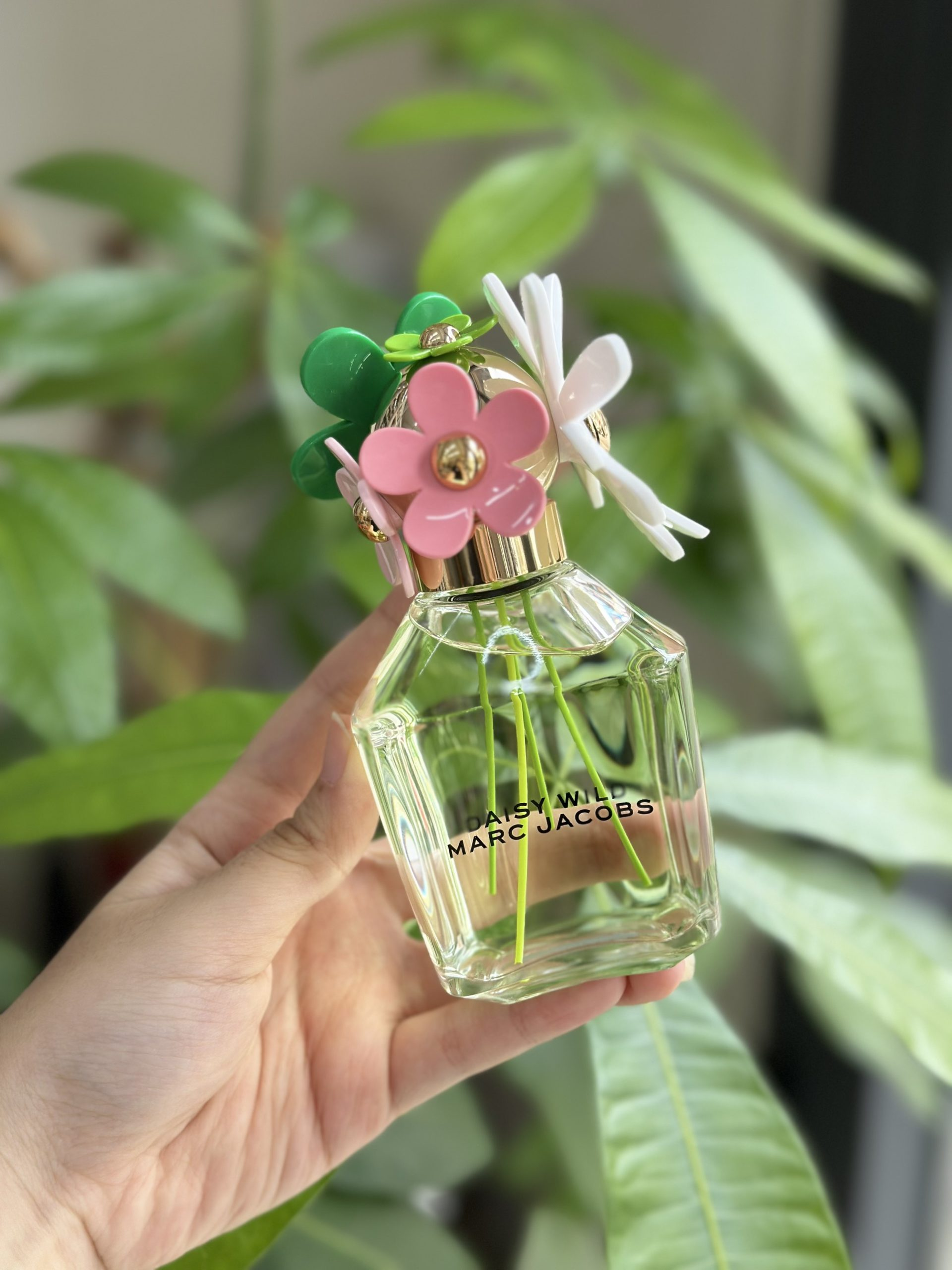 5 chai nước hoa thơm mát, thanh nhẹ phù hợp với mùa hè - Ảnh 4.