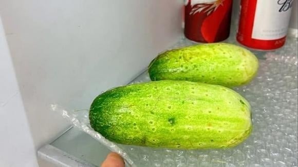 Túi bóng chống sốc có 4 bí mật, tôi tiếc đứt ruột gan vì vứt chúng đi- Ảnh 4. Túi bóng chống sốc có 4 bí mật, tôi tiếc đứt ruột gan vì vứt chúng đi- Ảnh 4.