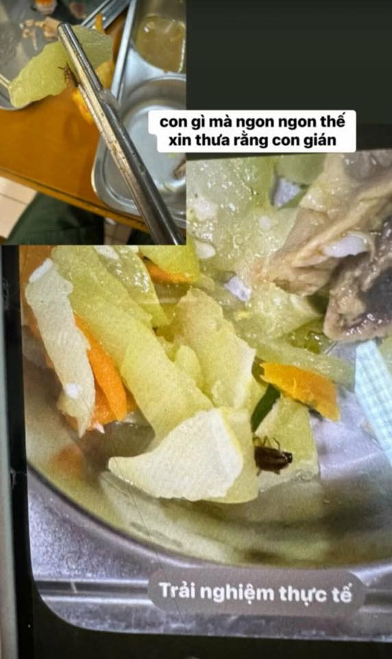 Trường Bách khoa lên tiếng vụ gần 180 sinh viên phản ánh bị đau bụng, nôn mửa sau bữa trưa quân sự - Ảnh 2. Trường Bách khoa lên tiếng vụ gần 180 sinh viên phản ánh bị đau bụng, nôn mửa sau bữa trưa quân sự - Ảnh 2.