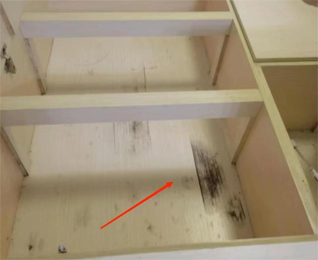 Tôi học theo 5 mẫu thiết kế đang hot trên mạng để cải tạo nhà và trả giá đắt chỉ sau 3 tháng dọn về - Ảnh 4. Tôi học theo 5 mẫu thiết kế đang hot trên mạng để cải tạo nhà và trả giá đắt chỉ sau 3 tháng dọn về - Ảnh 4.