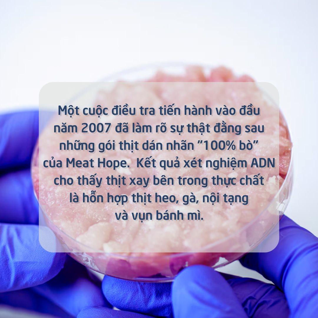 Cái kết buồn của người phanh phui bê bối thịt "bẩn" làm rúng động quốc gia có tiêu chuẩn an toàn thực phẩm nghiêm ngặt top đầu thế giới: Vợ ly hôn, người thân phớt lờ... - Ảnh 3. Cái kết buồn của người phanh phui bê bối thịt "bẩn" làm rúng động quốc gia có tiêu chuẩn an toàn thực phẩm nghiêm ngặt top đầu thế giới: Vợ ly hôn, người thân phớt lờ... - Ảnh 3.