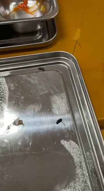 Trường Bách khoa lên tiếng vụ gần 180 sinh viên phản ánh bị đau bụng, nôn mửa sau bữa trưa quân sự - Ảnh 3. Trường Bách khoa lên tiếng vụ gần 180 sinh viên phản ánh bị đau bụng, nôn mửa sau bữa trưa quân sự - Ảnh 3.