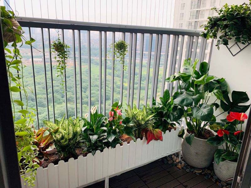 Dở khóc dở cười với muôn kiểu “chống nóng” bá đạo của mẹ chồng khi ở chung cư - Ảnh 1. Dở khóc dở cười với muôn kiểu “chống nóng” bá đạo của mẹ chồng khi ở chung cư - Ảnh 1.