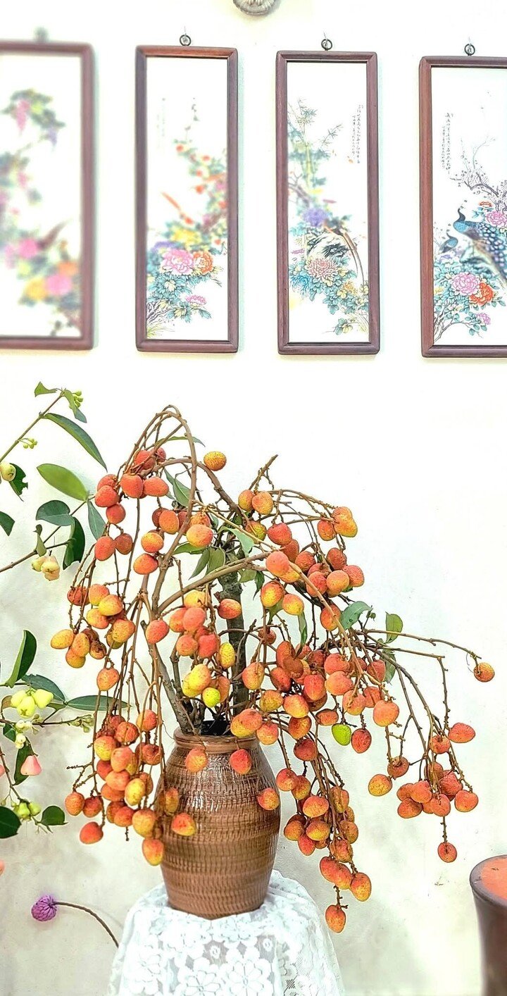 Trend cành vải cắm bình khiến những người mê cắm hoa 'phát sốt' - Ảnh 8. Trend cành vải cắm bình khiến những người mê cắm hoa 'phát sốt' - Ảnh 8.