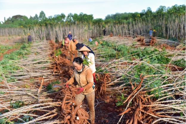 Mẹ bầu ‘tha hồ’ đổi món mà vẫn yên tâm dinh dưỡng cân đối với công cụ này - Ảnh 4.