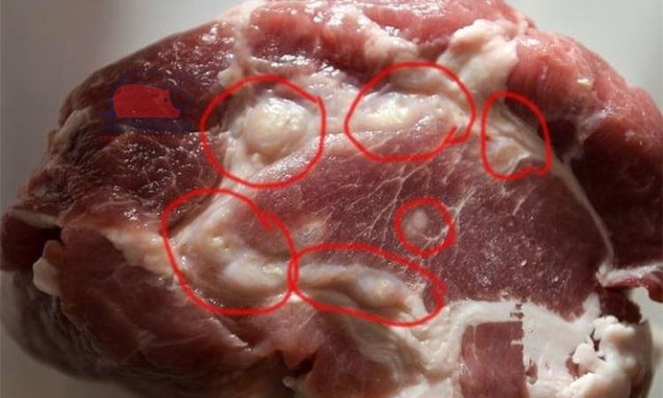 Đi chợ mà không biết 6 mẹo này thì đừng trách sao thịt mua về nấu lên lại dai và hôi - Ảnh 4. Đi chợ mà không biết 6 mẹo này thì đừng trách sao thịt mua về nấu lên lại dai và hôi - Ảnh 4.