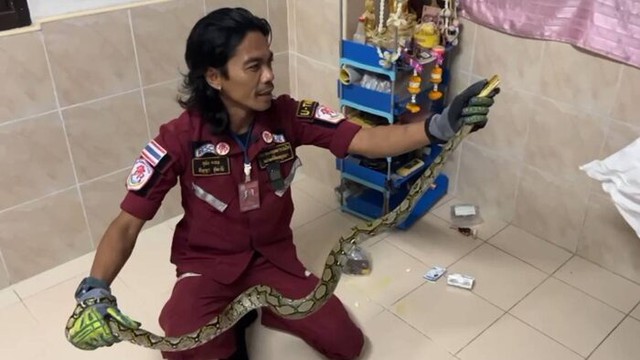 Trời nóng nên để cửa mở rồi đi ngủ cho mát, 3 giờ sáng cặp đôi tỉnh dậy phát hiện cảnh tượng đáng sợ - Ảnh 2. Trời nóng nên để cửa mở rồi đi ngủ cho mát, 3 giờ sáng cặp đôi tỉnh dậy phát hiện cảnh tượng đáng sợ - Ảnh 2.