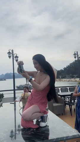download-4-1749127385123833204006-1749188769570-17491887697091750392292.gif