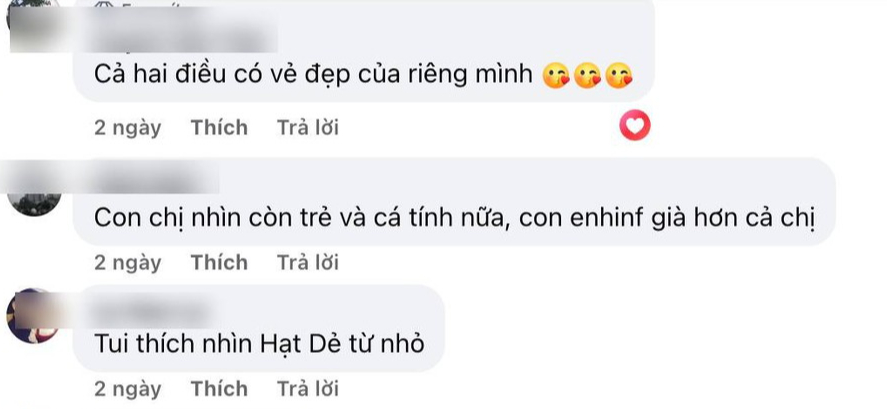 Lọ Lem đăng ảnh 2 chị em, bình luận của 1 cư dân mạng bị chỉ trích: Quá vô duyên!- Ảnh 1.